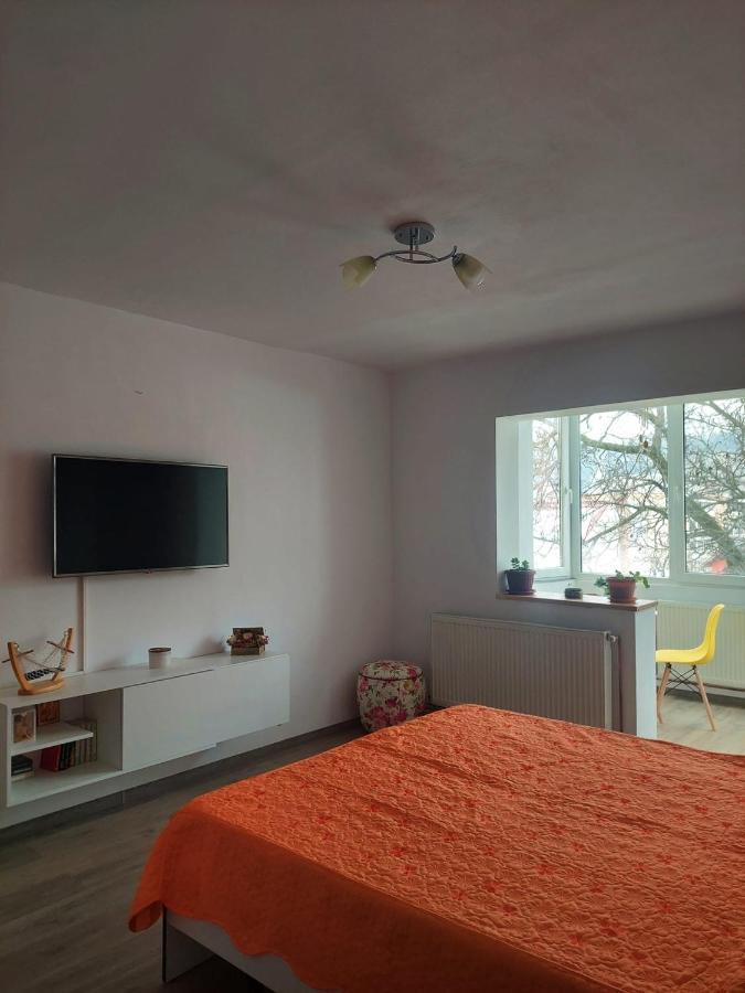 Apartament Spatios In Brassó Kültér fotó