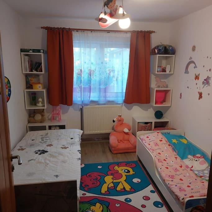 Apartament Spatios In Brassó Kültér fotó