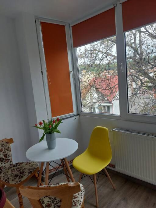 Apartament Spatios In Brassó Kültér fotó